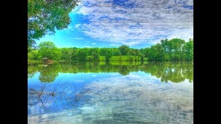 SOLD | 156 Cedar Crest | Fort Loudoun Lake | Friendsville Tennessee Real Estate & Homes | Lake Lot