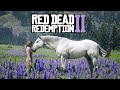 How To Turn Red Dead Into The Best Horse Game! - Red Dead Redemption 2