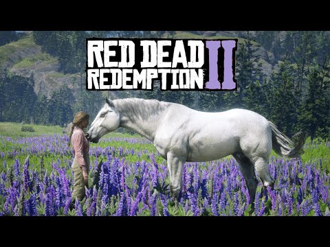 Red Dead Redemption 2 - Cavalo Warmblood Holandês Ruano Chocolate RDR2