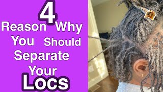 The Reasons why You Should Separate Your Locs