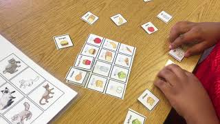 Level 1 Identical Matching mini Boards