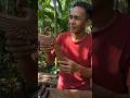 Amazing Bird of Paradise Wood Carving#art#craft#shorts