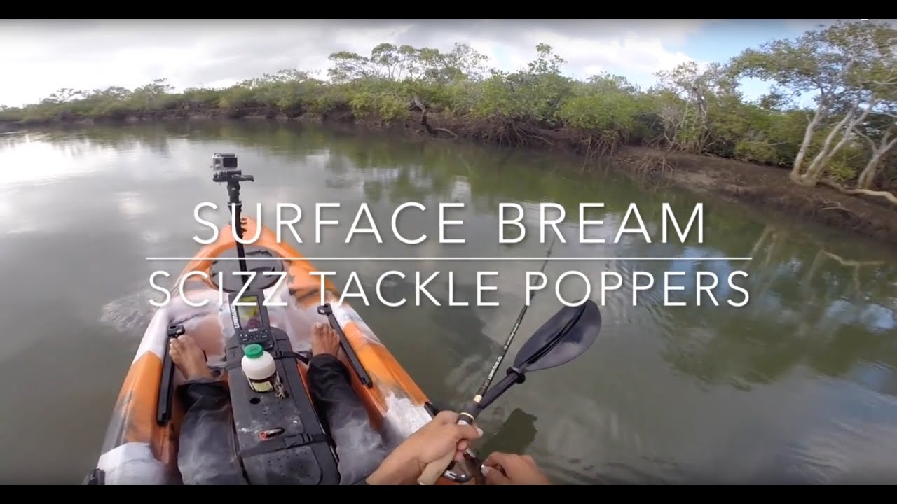 Bundaberg Bream Surface Fishing! Scizz Tackle Poppers on Dragon Kayak