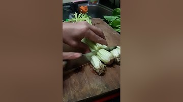 ASMR Cutting Skills the Roots of the Fresh Celery for Cooking Oddly Satisfying #shorts #video #viral