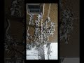 Можно снимать 4К на оптику СССР? 🤔