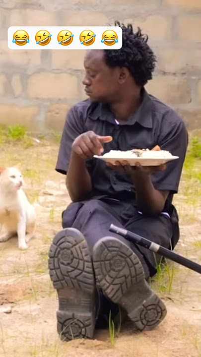 STEVE MWEUSI vs the Cat 🐈 comedy 😂 😂 😂 😂 #tanzania #kenya #burundi #rwanda #shorts #usa #viral