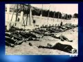 Les massacres répressifs à Sétif en  8 mai 1945