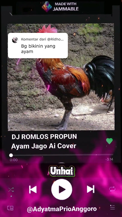 Lirik Lagu Dj Romlos Propun Cover Ayam Jago 🤓😱 #ayamjagoaicover  #ayamjago   #djromlospropun