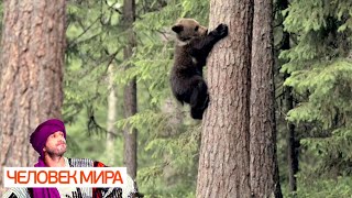Финляндия. На хвосте у Йоулупукки. Часть 1. Человек мира 🌏 Моя Планета Финляндия. На хвосте у Йоулупукки. Часть 1. Человек мира 🌏 Моя Планета