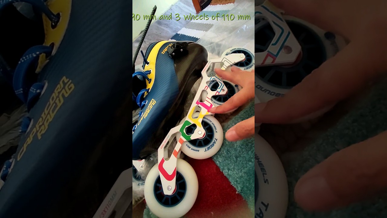 Capricorn Target Professional 