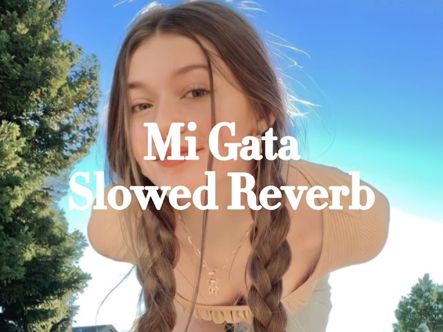 EL Barto , Standly - Mi gata || Slowed Reverb class=