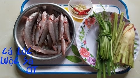 Cá Lóc Luộc Sả Ớt Hương Vị Quê Hương Món Ăn Đồng Quê Tranh Vlog 69