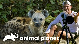3 animales icónicos de sus países | Wild Frank | Animal Planet