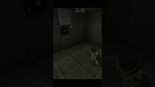 Minecraft 2 Saat Tir Kedi Ariyorum