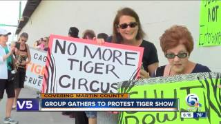 Group gathers to protest tiger show in Martin County