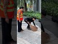 SK - Littering And Losing His Own Sandals #sakurakind #kindness #short