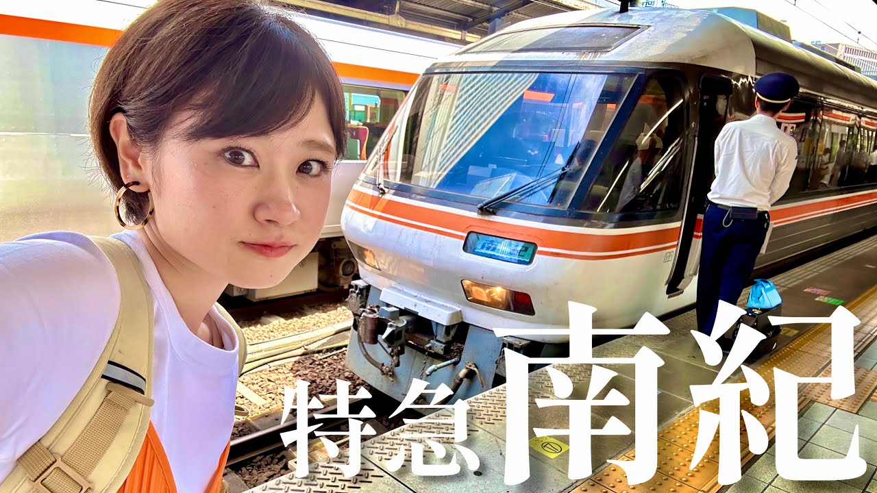 【引退迫る】キハ85系南紀で紀勢本線を爆走