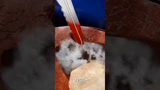 Can a Knife Really Make Sharks Explode? 🤯 | Debunked & Explained #shorts Net Worth