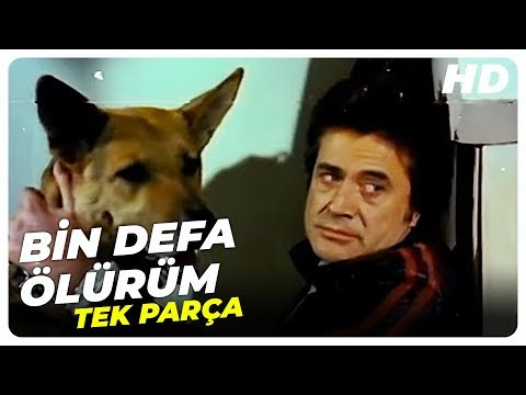 Bin Defa Ölürüm - Türk Film