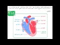 الصف الثامن ماده العلوم الدرس الثالث عشر مما يتركب الجهاز الدوري الصف الثامن ماده العلوم الدرس الثالث عشر مما يتركب الجهاز الدوري
