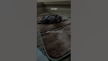 وقالوا الحمد لله الذي أذهب عنا الحزن #ناصر_القطامي  #سورة_فاطر #قرآن #قرآن_كريم
