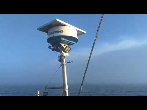 Sailing in Fog with Radar (Sailing SV Temptress)