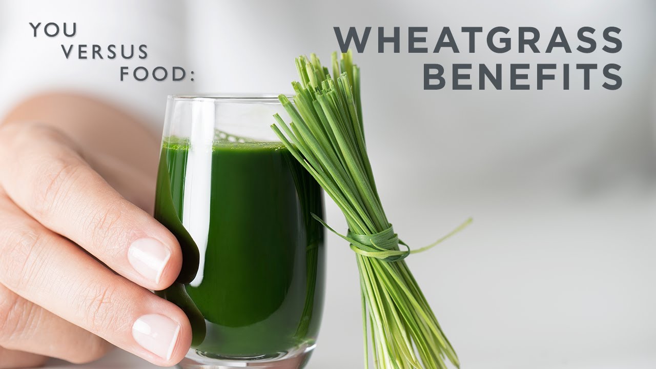 14 Health Benefits Of Wheatgrass, Nutrition, & Side Effects