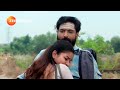 Anna     830   26 apr 24  promo  zee tamil