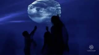Interactive Digital Wall Projection: Virtual Gulf Stream Aquarium