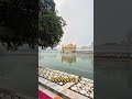 Golden Temple Amritsar View || 11jan 2026 #amritsar #gurbanikirtan #kirtan