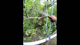 BLUE 🔵 MAN BALCONY SAW 🪚#danger #follow #like #tree #work #world #ai #courtyard #rope #high #show
