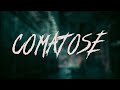 Skillet Comatose Lyrics