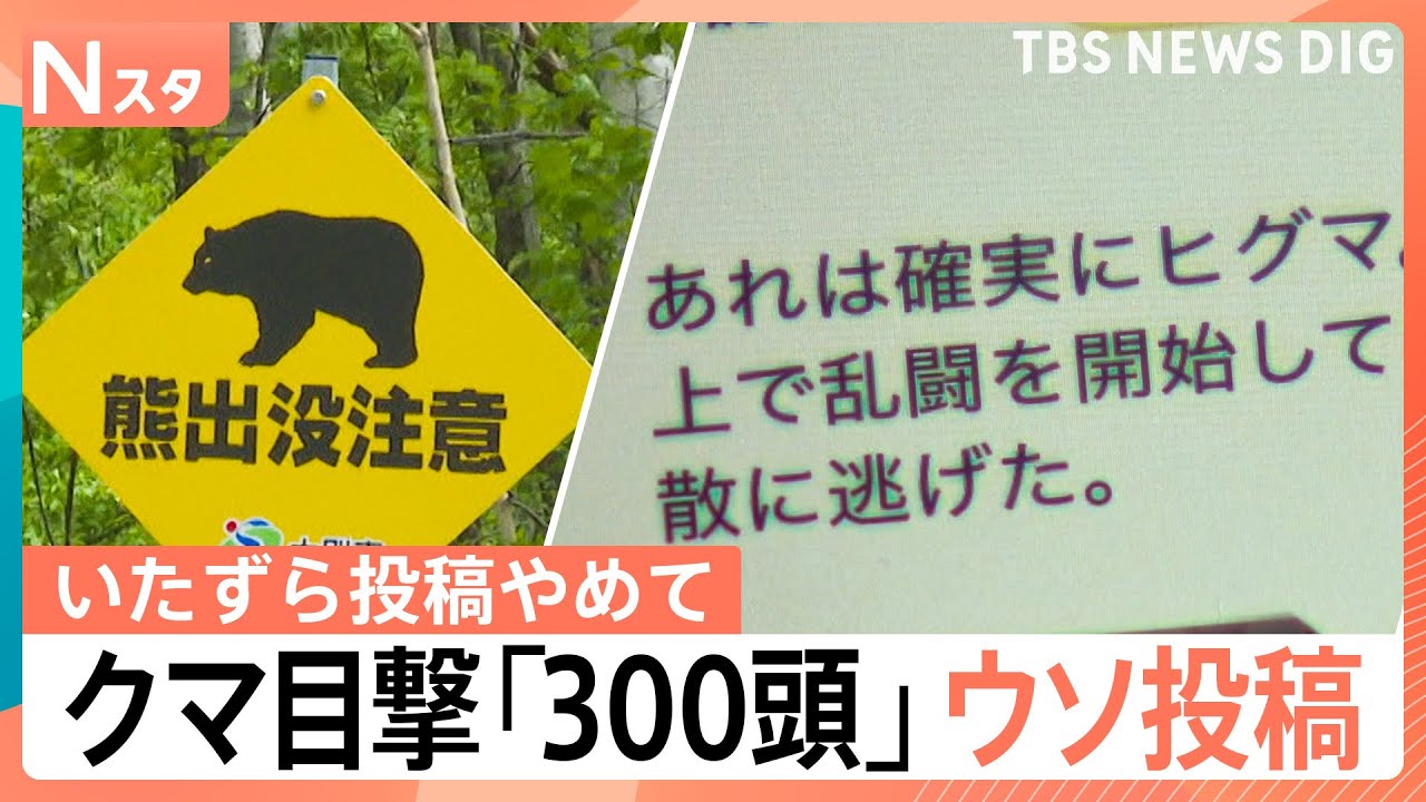 Amidst Rising Bear Attacks… Fake Sightings Like 