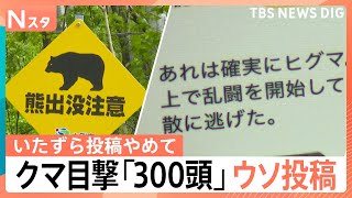 クマ被害相次ぐなか…「クマが線路で乱闘」「300頭目撃した」出没情報にウソ投稿で自治体の業務圧迫も【Nスタ解説】|TBS NEWS DIG