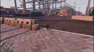 GTA 5 Fire Cat Funny Compilation #003