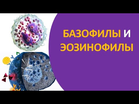 Video: Hodnotenie Exacerbácií A Eozinofilov V Krvi V Populáciách CHOCHP V Spojenom Kráľovstve A USA