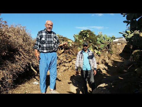 مأساة عراقيل إدارة الماء ببني سيدال الجبل لعائلة القضاوي من أجل ربط منازلهم بالماء الصالح للشرب