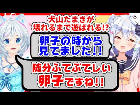 【切り抜き】電脳少女シロは犬山たまきの壊し方を知っている??○○を引き出したい!!【#シロたま】