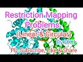 Restriction Mapping Problems(Linear & Circular)