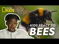 Kids React to Wild Scenes from Secrets of the Bees! 🐝🍯| 4K | @natgeokids