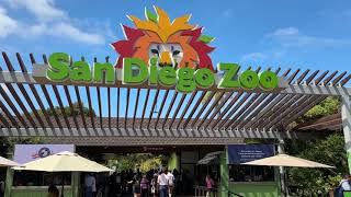 San Diego Zoo From Bus Tour To Animal Encounter