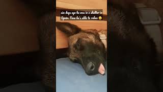 Finally Able To Relax