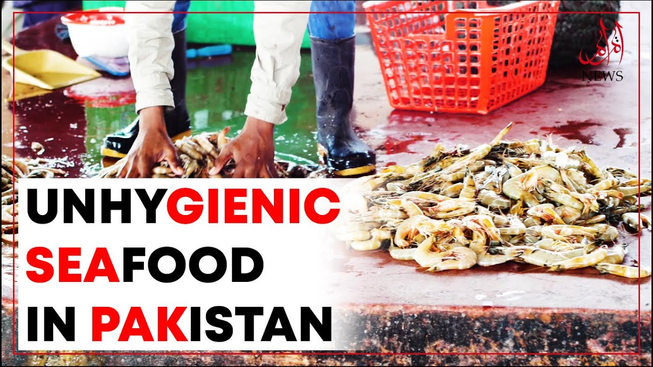 Unhygienic Seafood In Pakistan YouTube unhygienic-seafood-in-pakistan-youtube