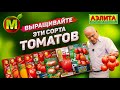 Какие сорта помидоров выращивать? Обзор семян томатов.