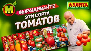 Какие сорта помидоров выращивать? Обзор семян томатов.