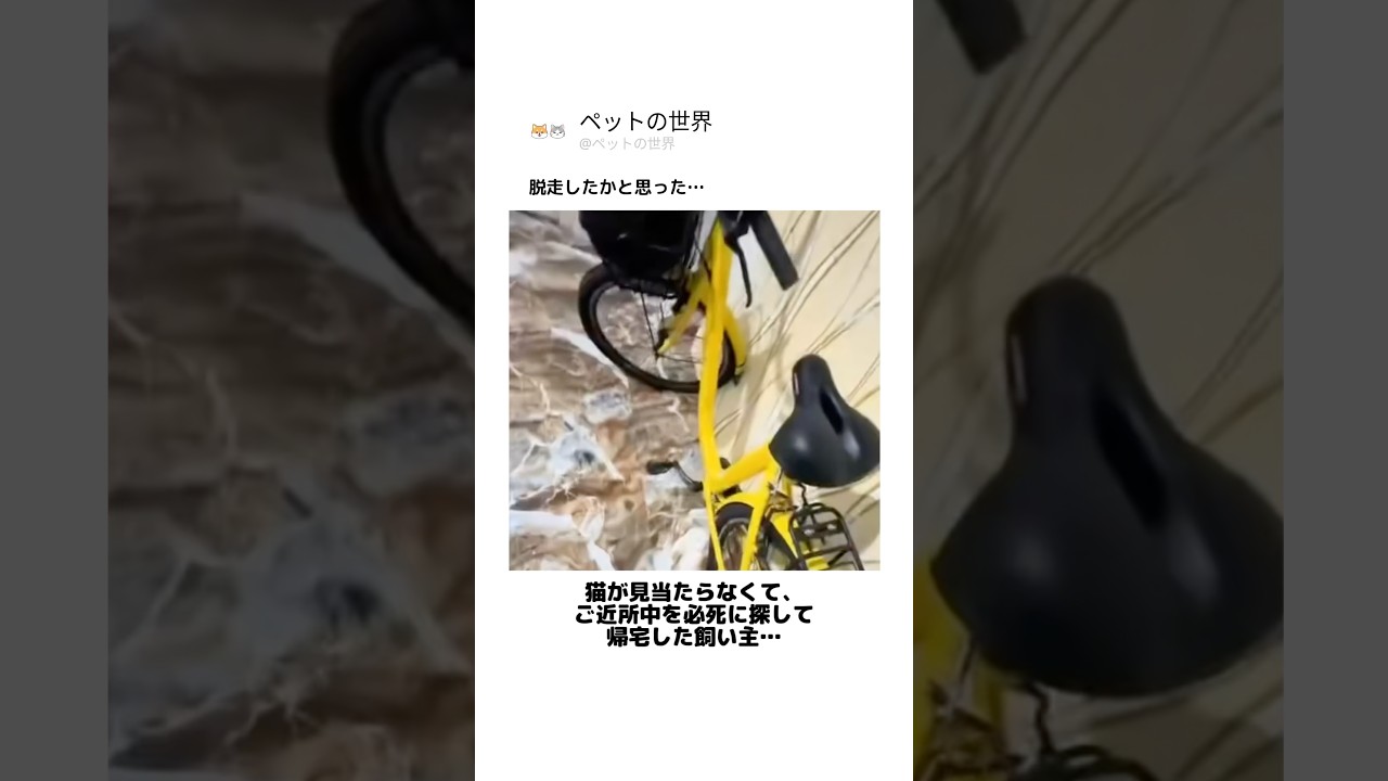 脱走したかと思った…