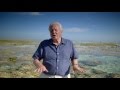 Haai of amfibi? | Great Barrier Reef with David Attenborough