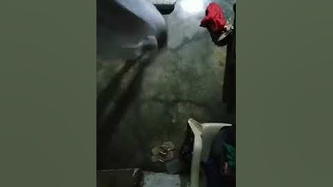 Integrated Performance Task |By:Group 3