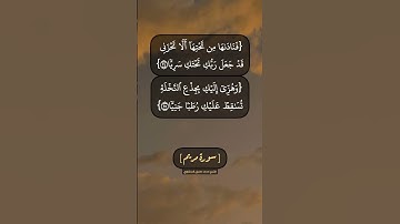 سورة مريم الآية ٢٤ الى ٢٦ بصوت الشيخ محمد صديق المنشاوي