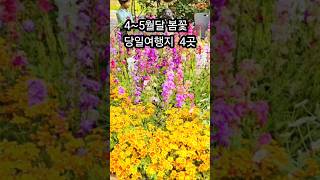 4~5월달 봄꽃 축제 가까운 당일여행 4곳 가볼만한곳 추천